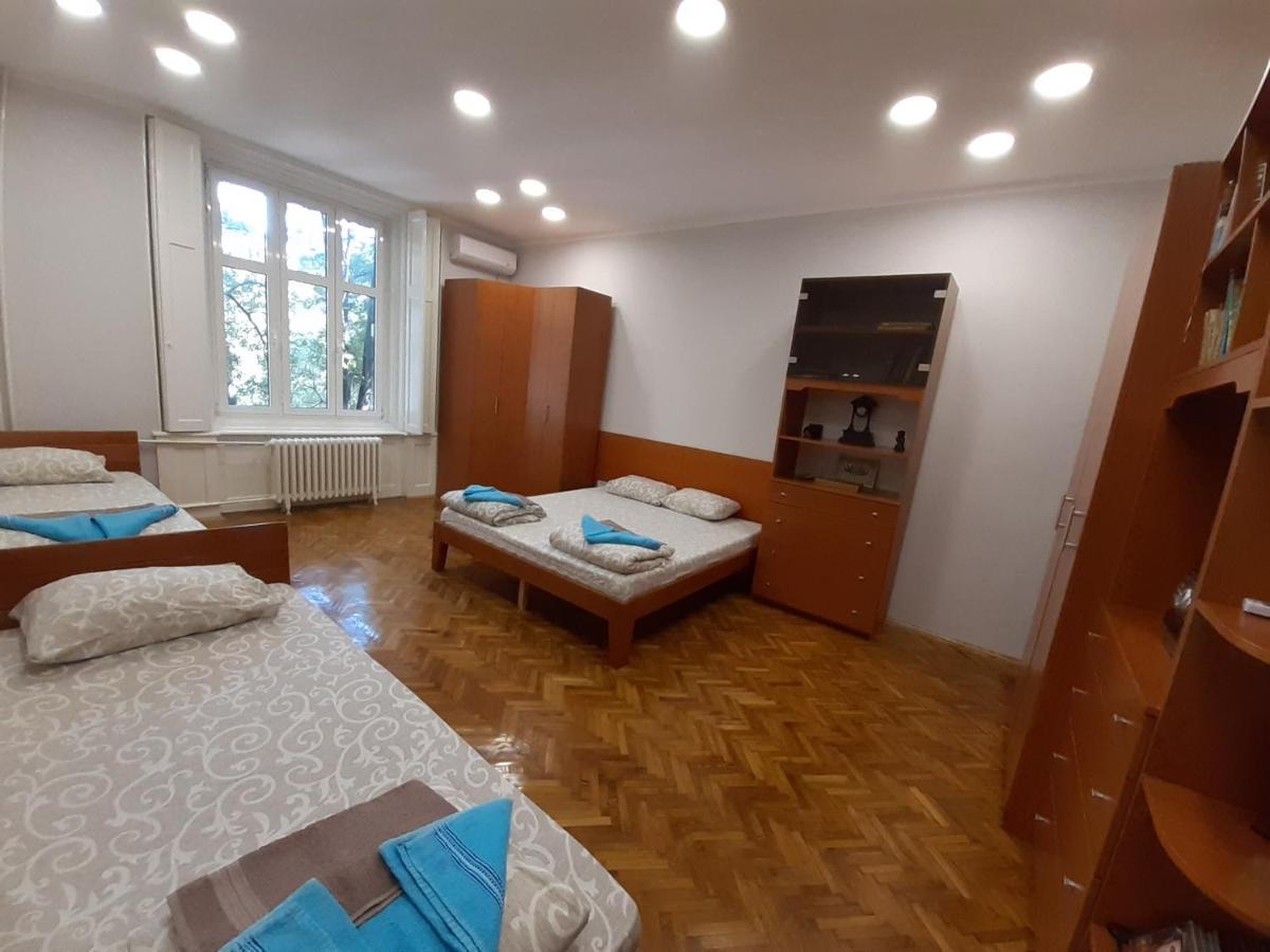 Downtown Apartment In Walk Zone With 3 Bedrooms And Garage 诺威萨 外观 照片