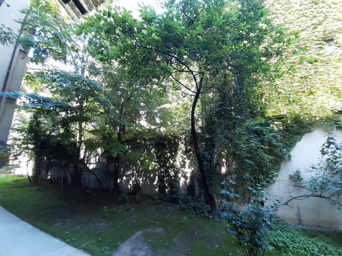 Downtown Apartment In Walk Zone With 3 Bedrooms And Garage 诺威萨 外观 照片