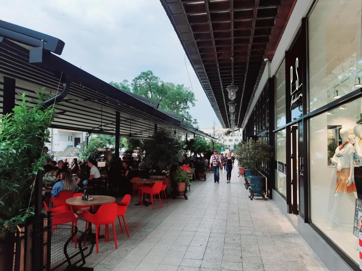 Downtown Apartment In Walk Zone With 3 Bedrooms And Garage 诺威萨 外观 照片