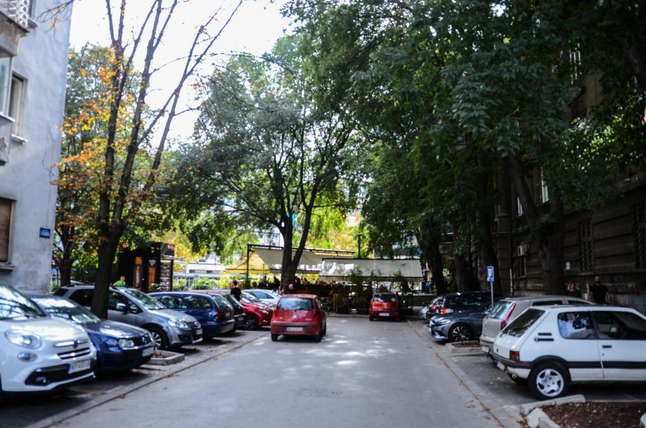 Downtown Apartment In Walk Zone With 3 Bedrooms And Garage 诺威萨 外观 照片